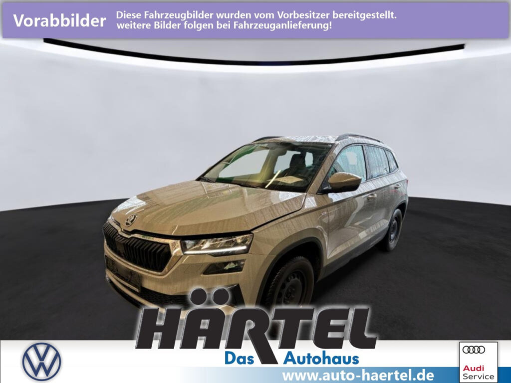 SKODA Karoq Exposé-Bild 1