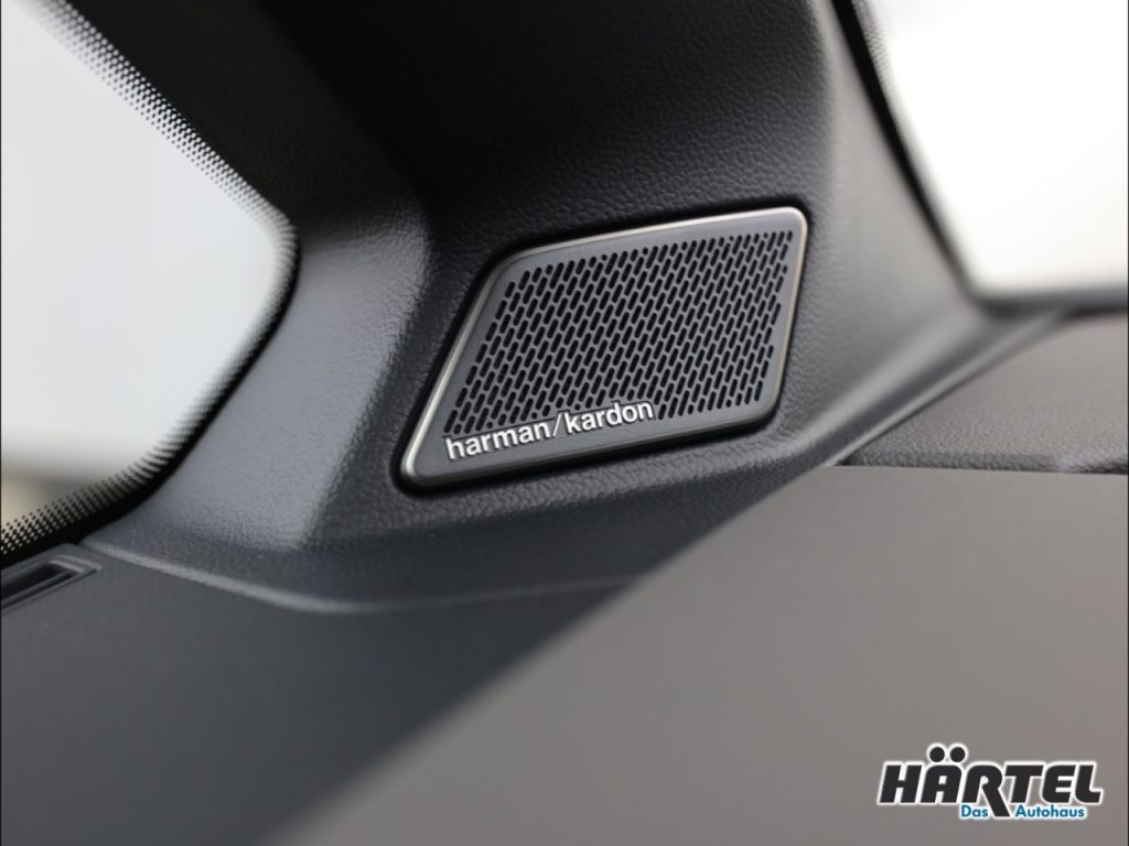 VOLKSWAGEN T7 Exposé-Bild 15